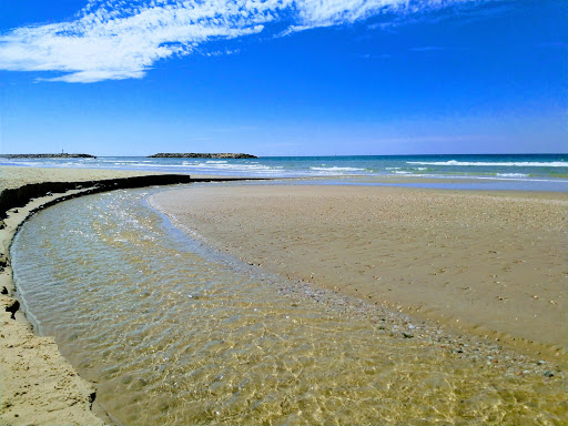 Acadia Beach
