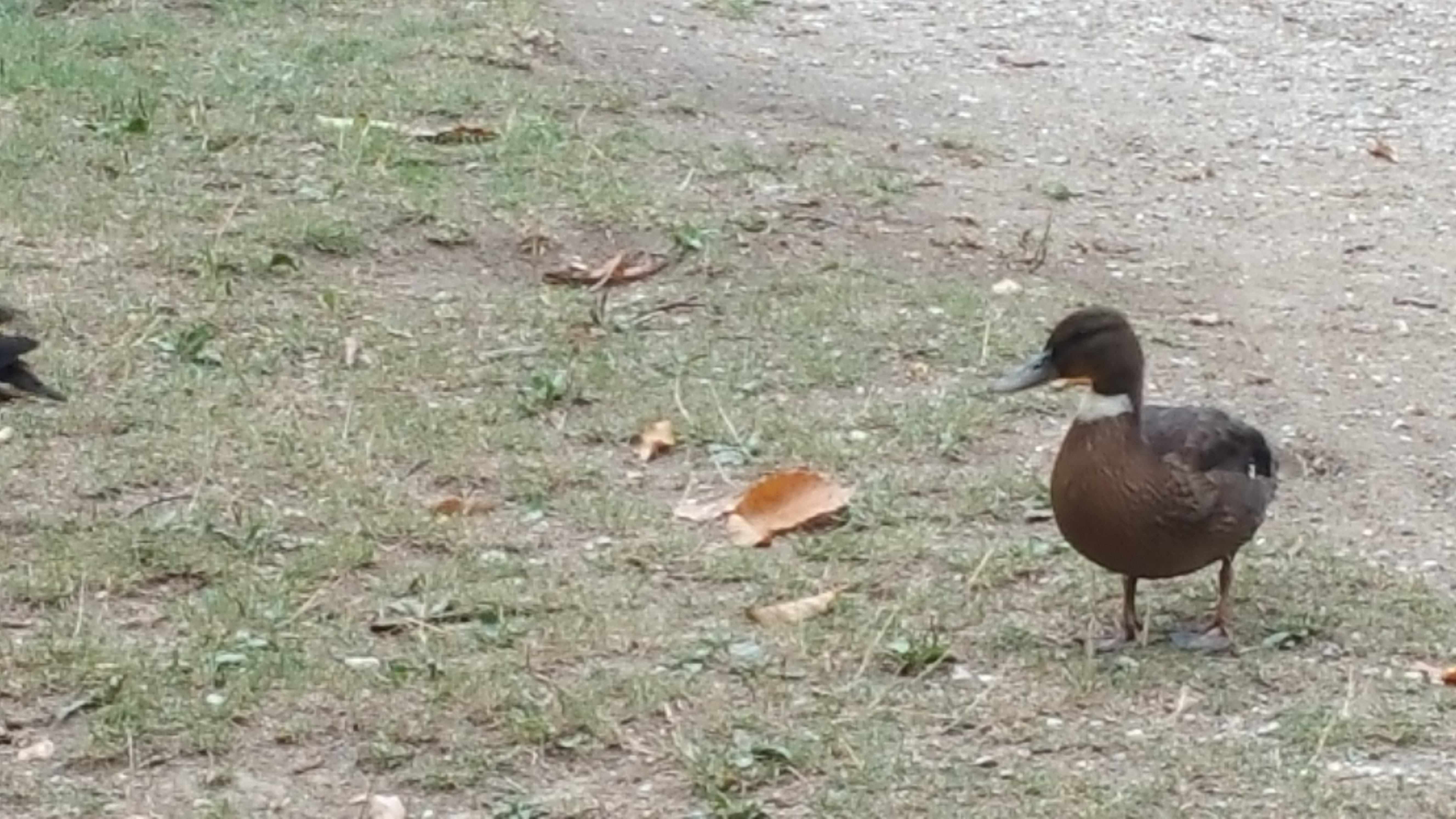 Photo n° 4 de l'avis de Roland.O fait le 16/09/2018 à 12:46
