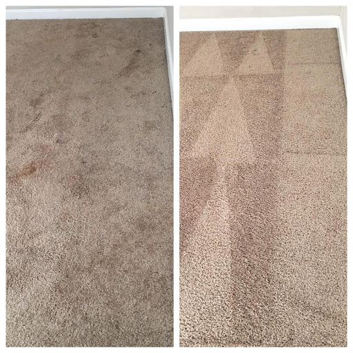 Carpet Cleaning Service «Indy Carpet Cleaning», reviews and photos, 5541 Guilford Ave, Indianapolis, IN 46220, USA