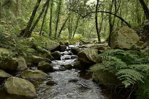 Gualba Montseny image