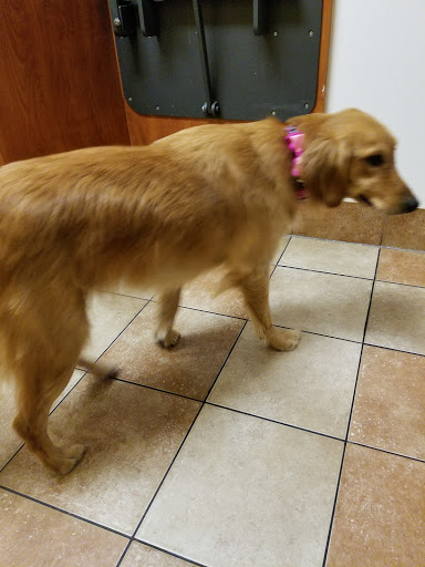 Pet Supply Store «PetSmart», reviews and photos, 2389 Taylor Park Dr, Reynoldsburg, OH 43068, USA