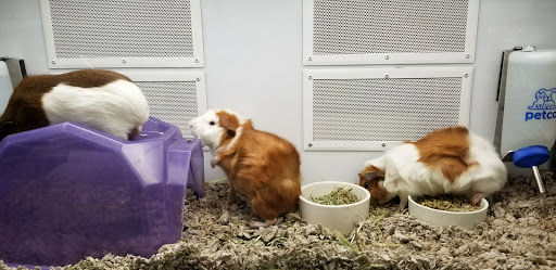 Pet Supply Store «Petco Animal Supplies», reviews and photos, 2277 Ford Pkwy, St Paul, MN 55116, USA