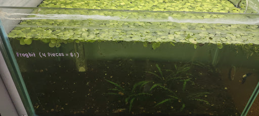 Reptile Store «La Habra Pets», reviews and photos, 1919 W La Habra Blvd, La Habra, CA 90631, USA