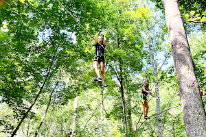 Canopy Adventure Park image