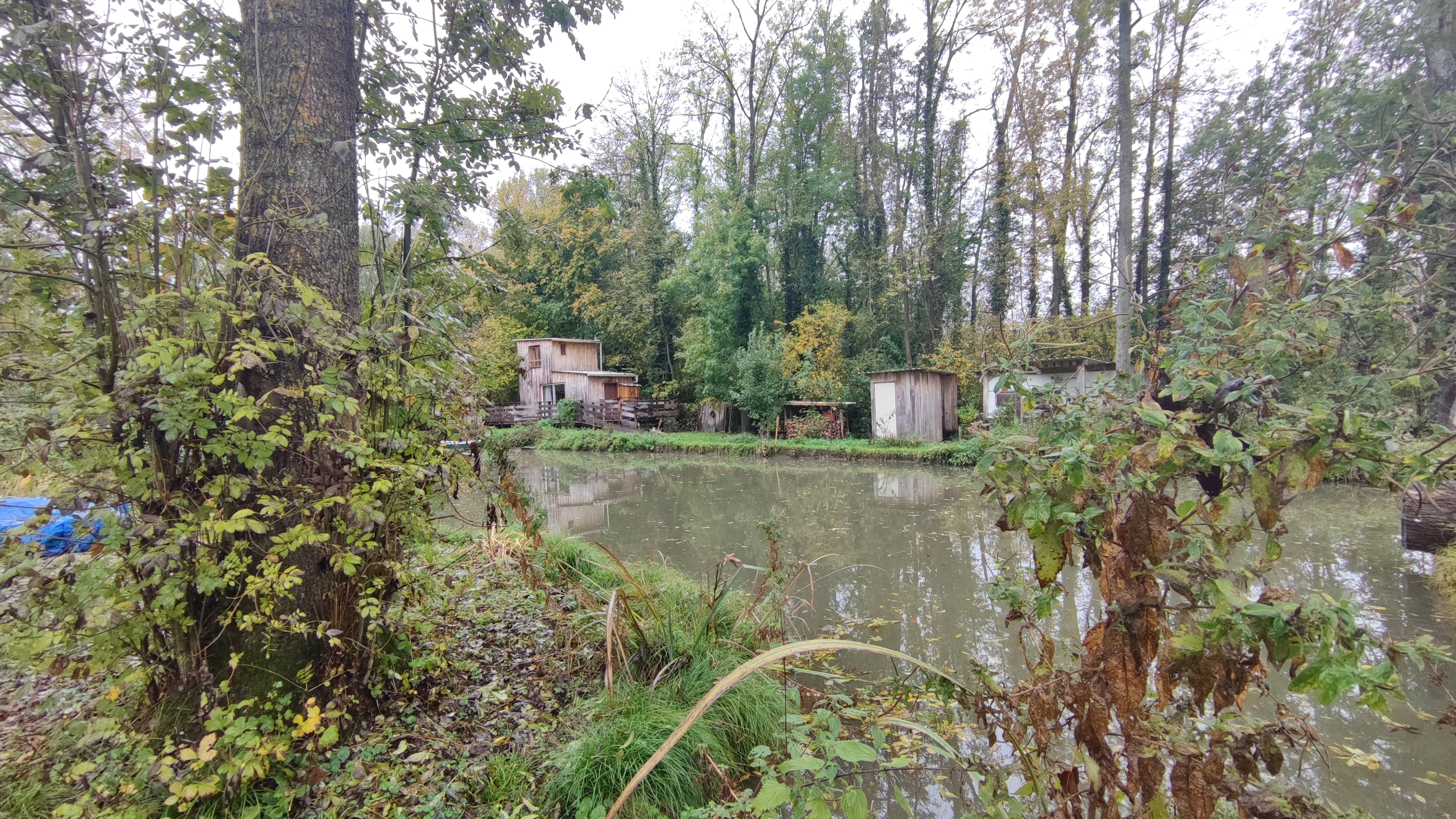 Photo n° 1 de l'avis de A.. fait le 01/11/2021 à 16:20