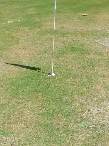 Yacht Club «The Club at Treasure Island», reviews and photos, 400 Treasure Island Causeway, Treasure Island, FL 33706, USA