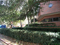 Turlington Hall - Photo 9 - Car repair in Gainesville, FL, Gainesville