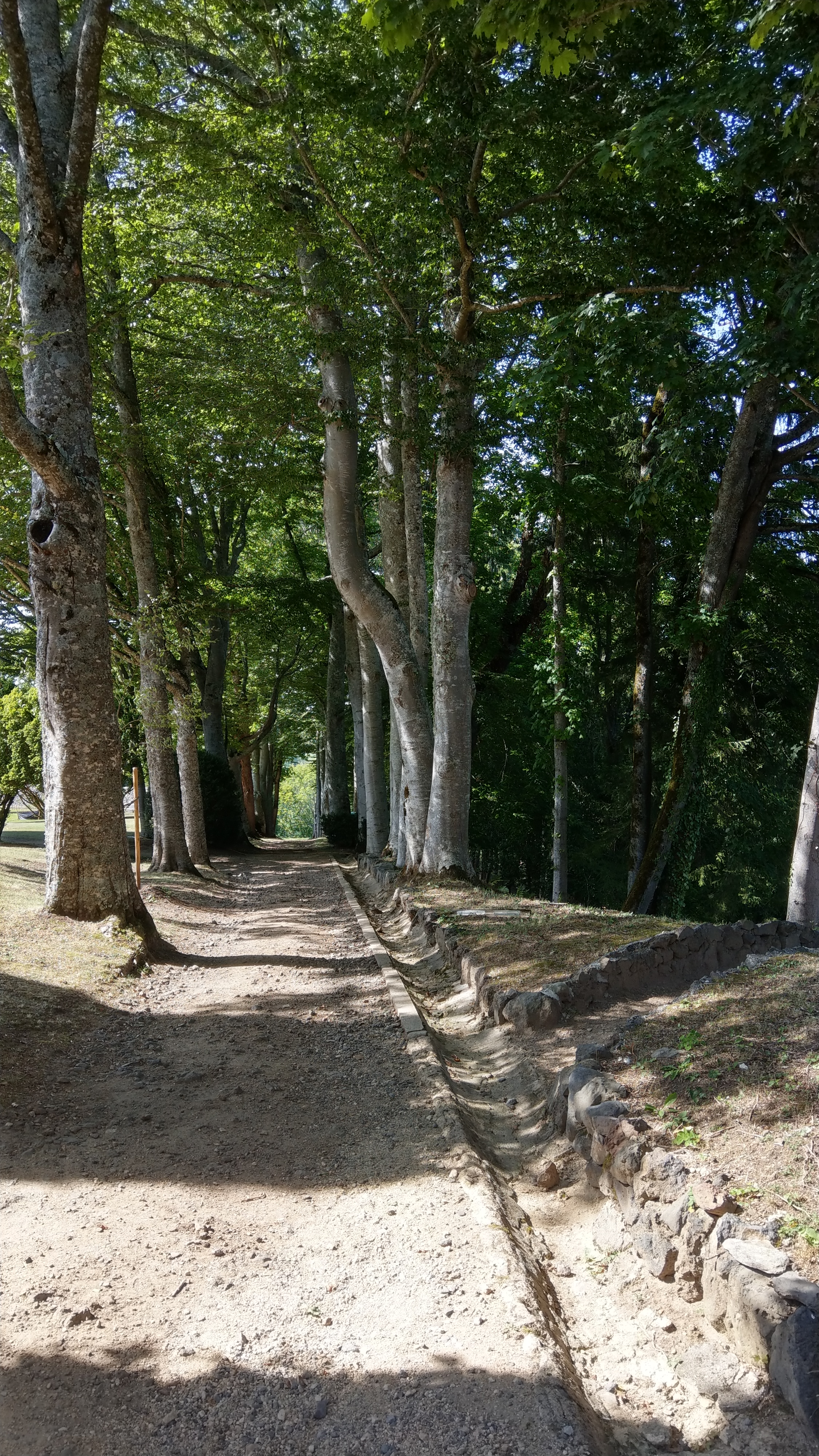 Photo n° 5 de l'avis de gael.o fait le 24/08/2019 à 15:27
