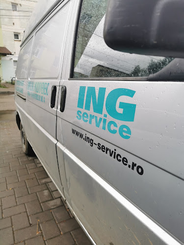 ING Service - <nil>