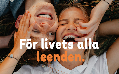 Smile Tandvård Mariestad Nygatan 10, 542 30 Mariestad, Sverige