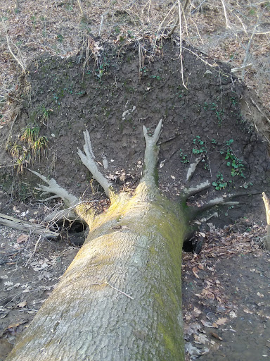 Nature Preserve «White Clay Creek State Park Nature Center», reviews and photos, 1475 Creek Rd, Newark, DE 19711, USA