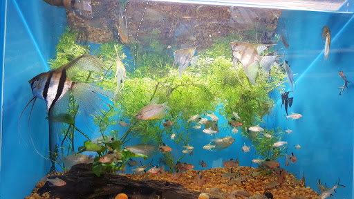 Pet Supply Store «Pet Supermarket», reviews and photos, 3908 Oleander Dr, Wilmington, NC 28403, USA