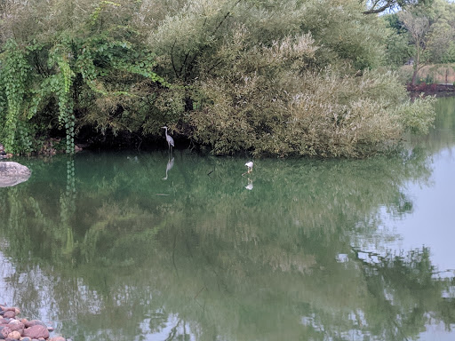 Park «Prairie Park», reviews and photos, 431 Knollwood Dr, Barrington, IL 60010, USA