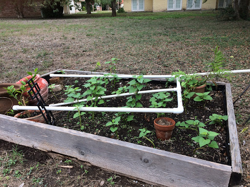 Country Club «Rancho Viejo Resort & Country Club», reviews and photos, 1 Rancho Viejo Dr, Rancho Viejo, TX 78575, USA