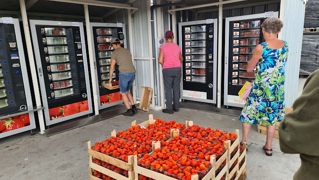 Beoordelingen van Aardbeien Depestel LV in Brugge - Supermarkt