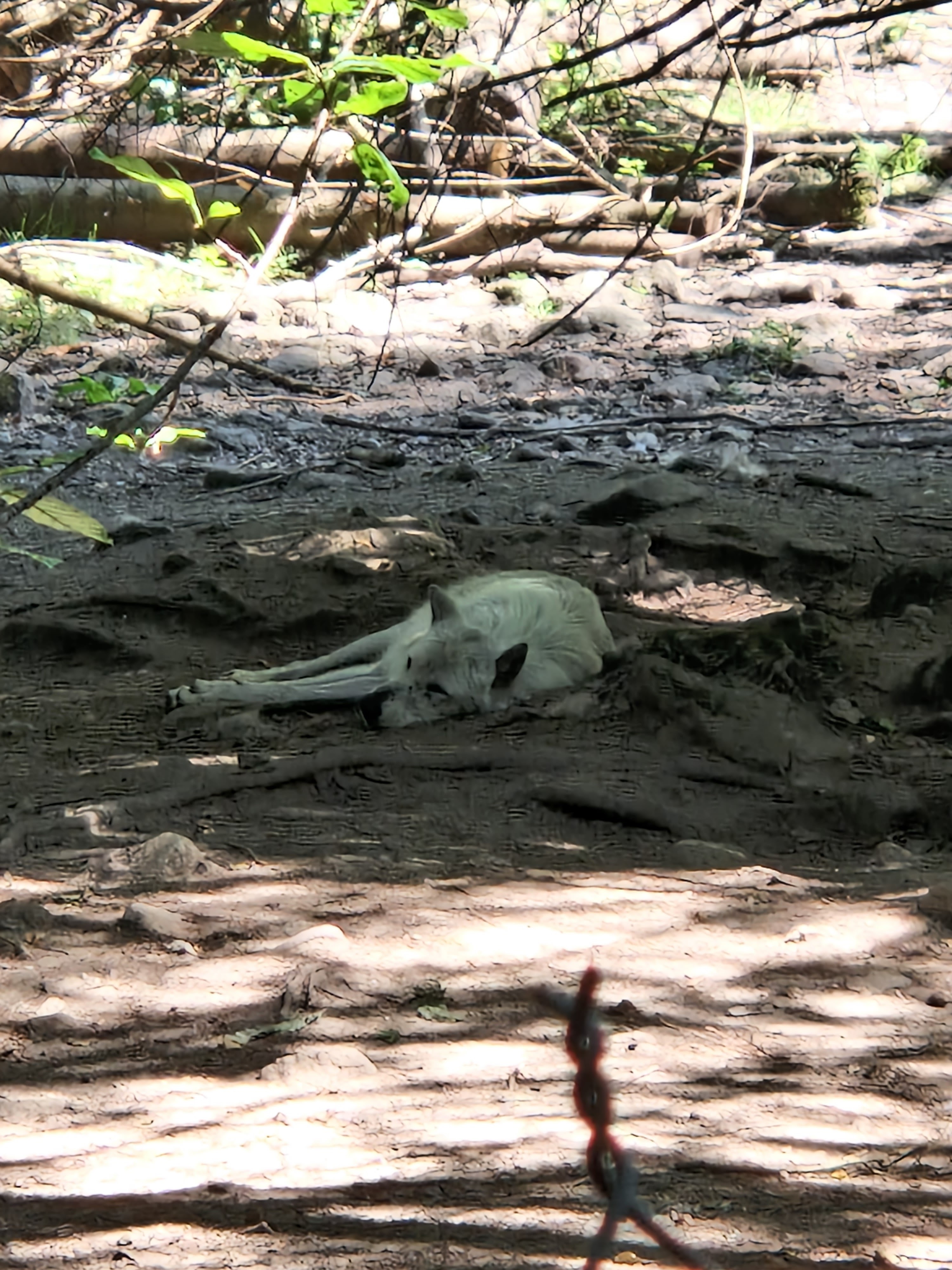 Photo n° 2 de l'avis de Virginie.N fait le 29/07/2022 à 21:03