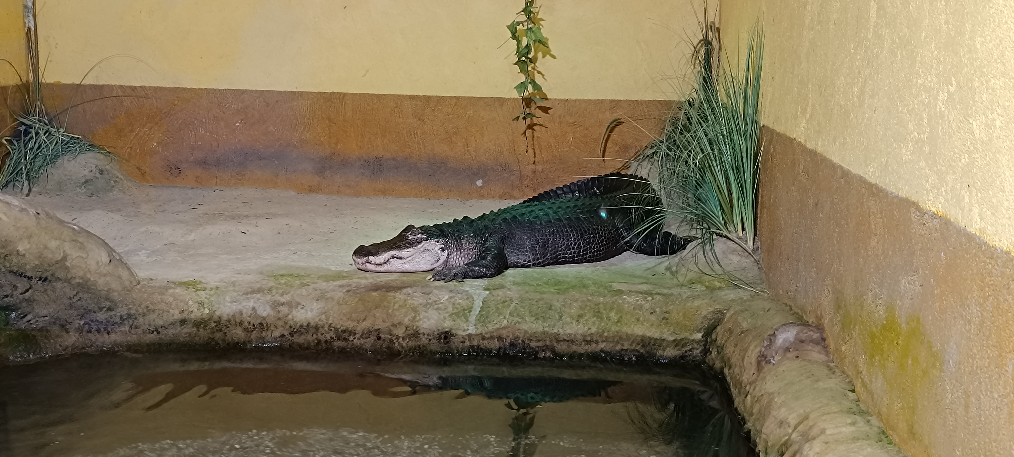 Photo n° 3 de l'avis de Myo.o fait le 17/07/2023 à 17:56