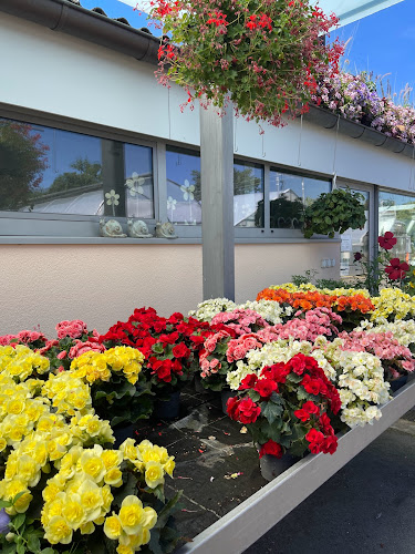 Rezensionen über Stadtgärtnerei in Schaffhausen - Blumengeschäft