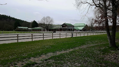 Schotsmans Bernard Chevaux de sport à Larchant