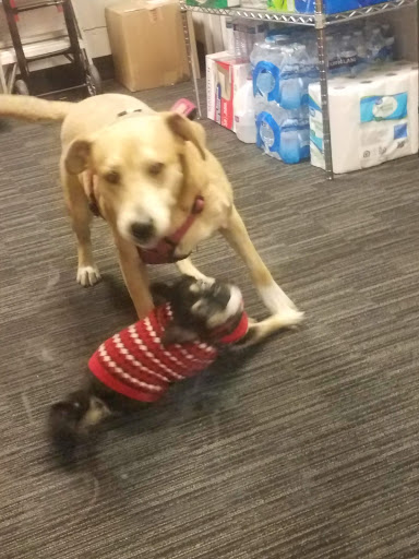 Tobacco Shop «Tobacco Joes», reviews and photos, 472 12th St, Ogden, UT 84404, USA