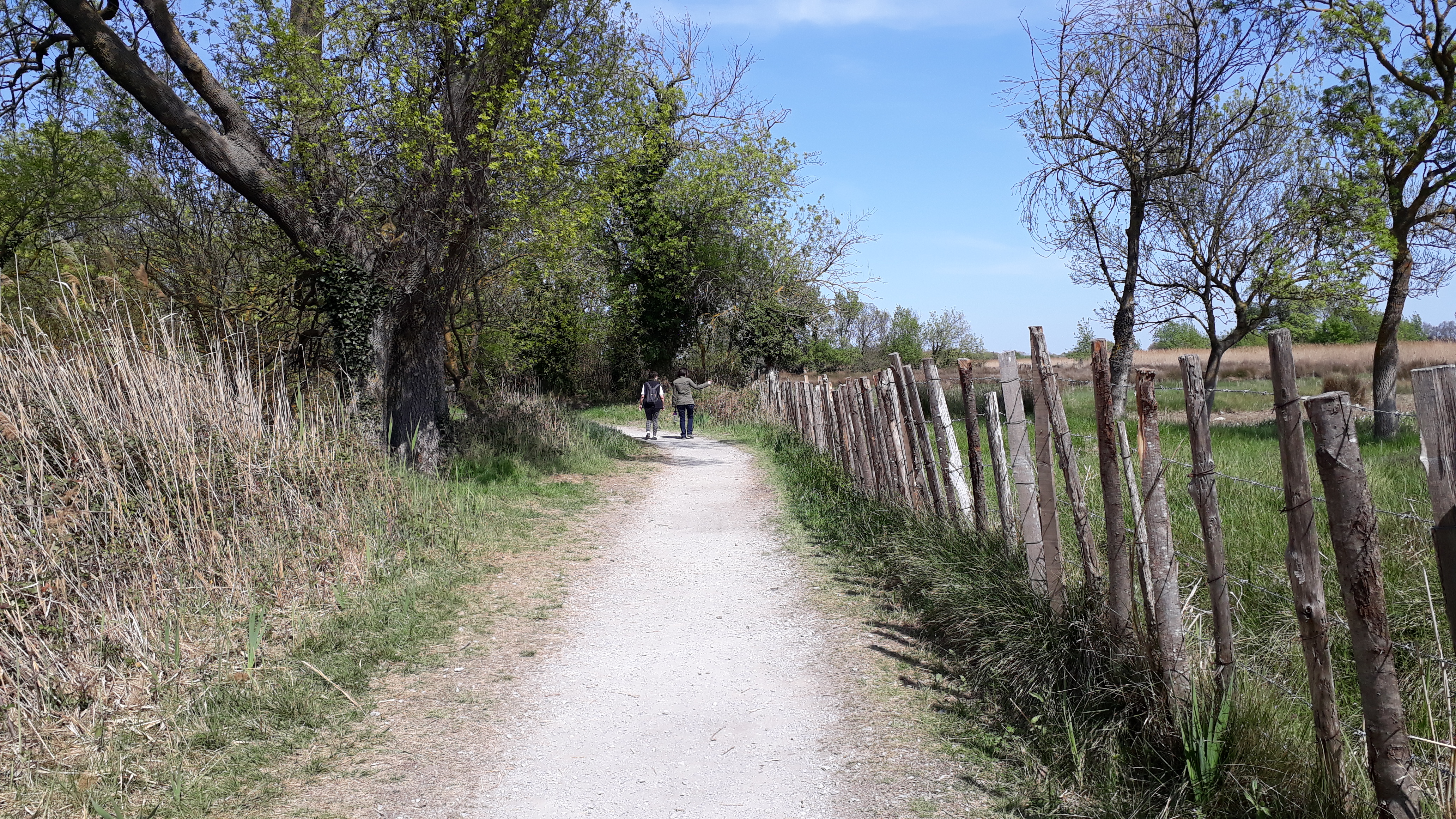 Photo n° 32 de l'avis de Cassandra.i fait le 17/03/2019 à 16:00