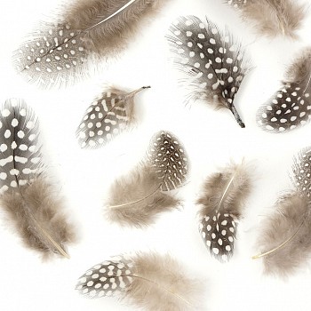 Craft Store «Munro Craft Supply», reviews and photos, 3954 Twelve Mile Rd, Berkley, MI 48072, USA