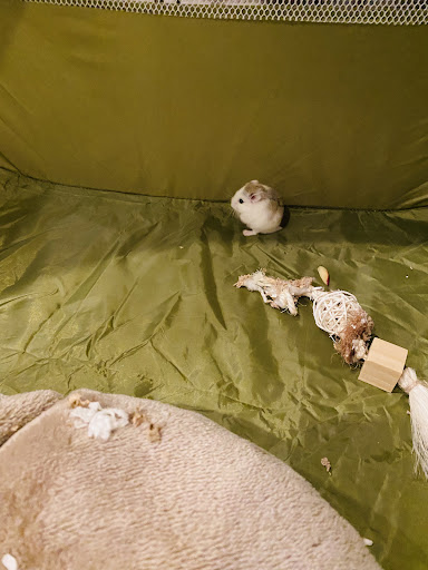 Pet Supply Store «Petco Animal Supplies», reviews and photos, 17132 W Colfax Ave, Golden, CO 80401, USA