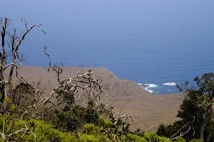 Fray Jorge National Park image