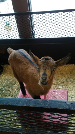 Pet Supply Store «Blue Seal Feeds Inc», reviews and photos, 876 Stillwater Ave # 1, Bangor, ME 04401, USA