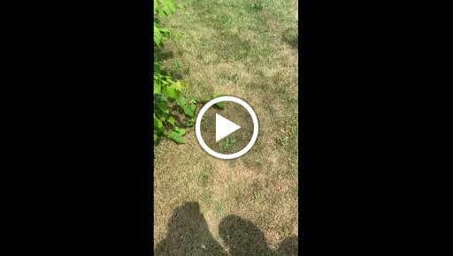 Heating Contractor «Professional Heating & Cooling LLC», reviews and photos