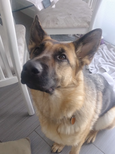 Pet Supply Store «Petco Animal Supplies», reviews and photos, 216 Colony Pl, Plymouth, MA 02360, USA