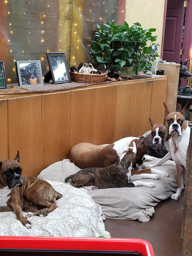 Pet Supply Store «Natural Pet NW», reviews and photos, 212 NE 164th Ave #8, Vancouver, WA 98684, USA