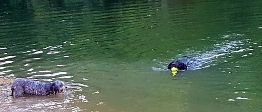 Canoe & Kayak Tour Agency «Cave Country Canoes-Blue River», reviews and photos, 112 W Main St, Milltown, IN 47145, USA