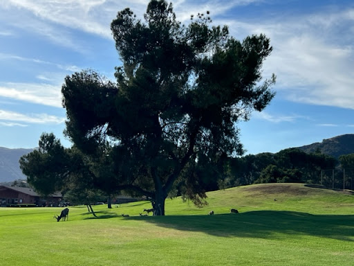 Golf Course «Marshall Canyon Golf Course», reviews and photos, 6100 Stephens Ranch Rd, La Verne, CA 91750, USA