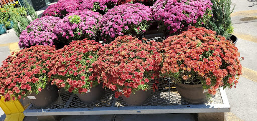 Home Improvement Store «The Home Depot», reviews and photos, 500 S Marengo Ave, Alhambra, CA 91803, USA