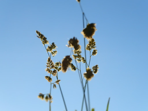 Rolling Bale Farm LLC