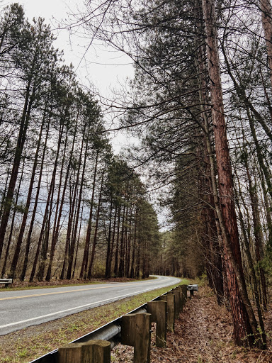 NCT – North Country Trail head