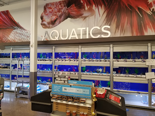 Pet Store «PetSmart», reviews and photos, 3957 Vineyard Dr, Dunkirk, NY 14048, USA