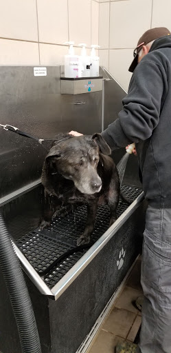 Pet Supply Store «Pet Supplies Plus», reviews and photos, 1213 Mentor Ave, Painesville, OH 44077, USA