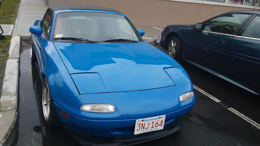 Dollar Store «Dollar Tree», reviews and photos, 383 Allen St, Springfield, MA 01118, USA