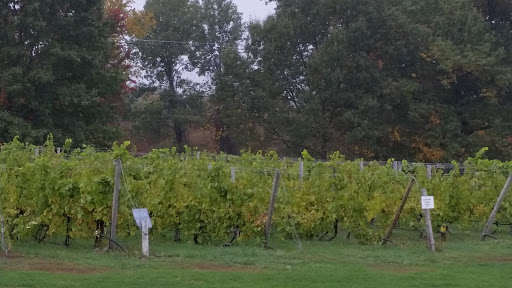 Winery «Nashoba Valley Winery», reviews and photos, 100 Wattaquadock Hill Rd, Bolton, MA 01740, USA