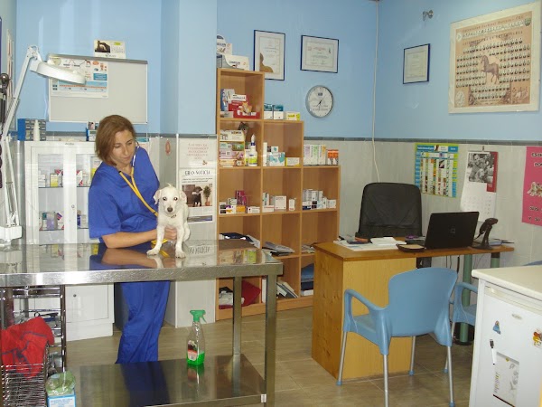 Clínica Veterinaria Mestre Palau