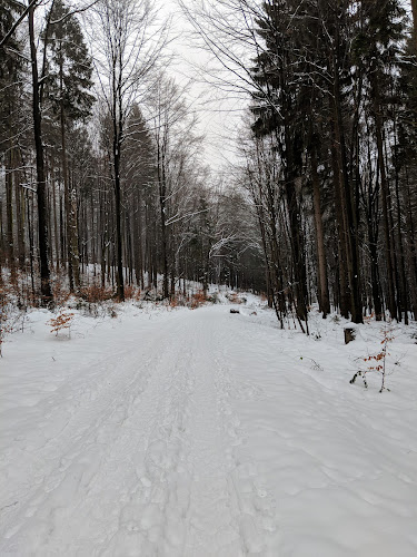 Kommentare und Rezensionen über Golf-Club Furth im Wald e.V.