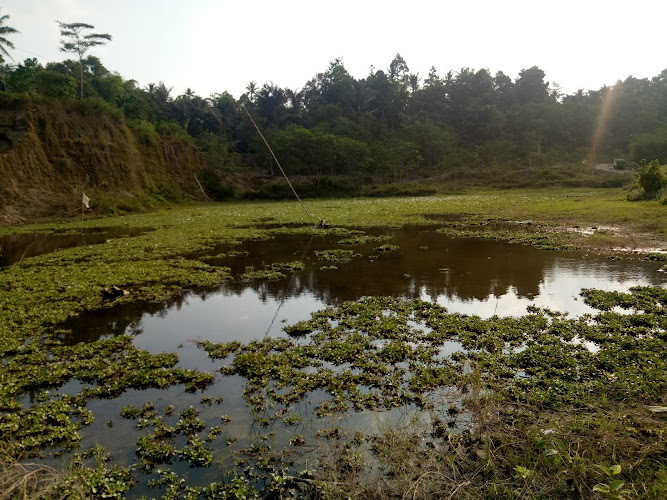 Kebun Pak Unardi