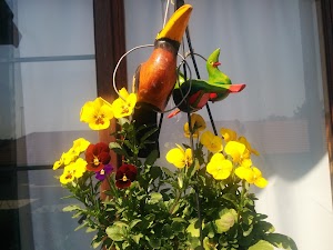 Riverview.. - photo 1