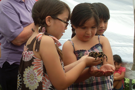 Reptile Store «Paramount Pet Entertainment - Reptile Parties & more!», reviews and photos, 8055 Rosecrans Ave #107, Paramount, CA 90723, USA