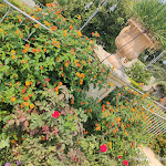 Photo n°19 de l'avis de Paola.i fait le 29/08/2023 à 23:20 sur le  ViverÈ Resort à Presicce-Acquarica