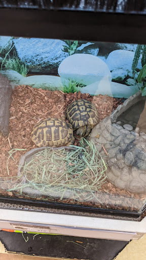 Pet Supply Store «Petco Animal Supplies», reviews and photos, 600 NE Vivion Rd, Kansas City, MO 64118, USA