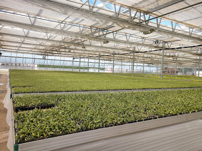 James Greenhouses