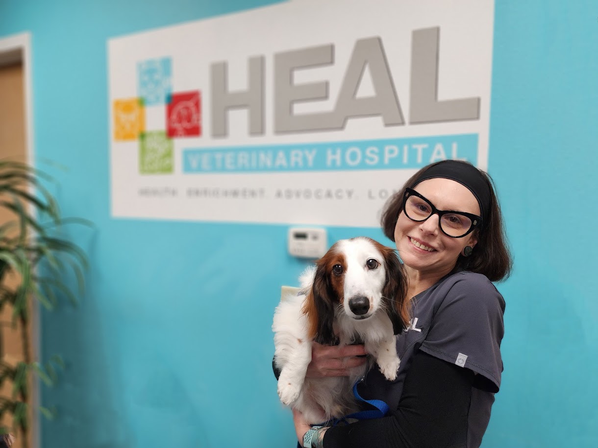HEAL Veterinary Hospital + Pet Rehabilitation